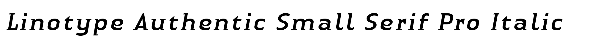 Linotype Authentic Small Serif Pro Italic image